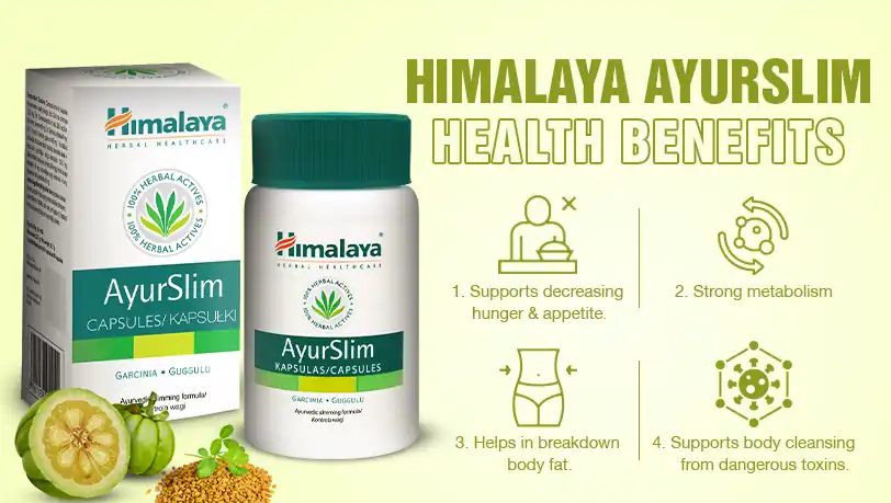 Himalaya Ayurslim Capsules Benefits