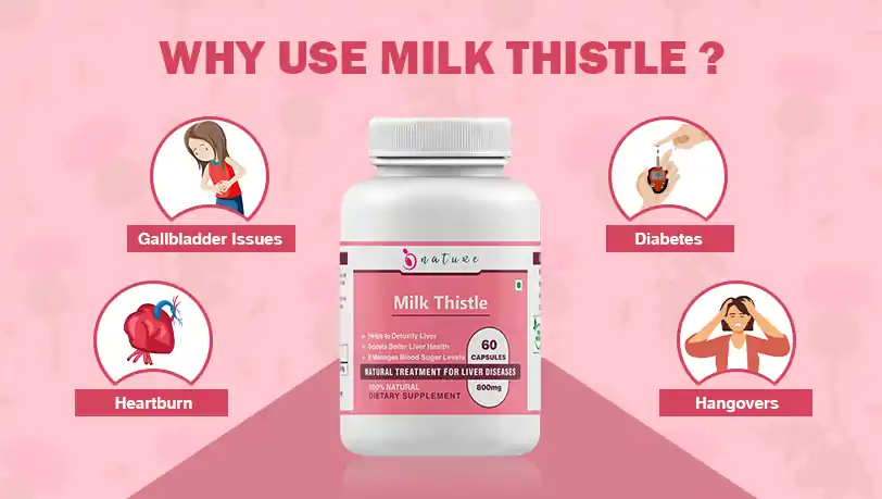 Why Use Milk Thistle